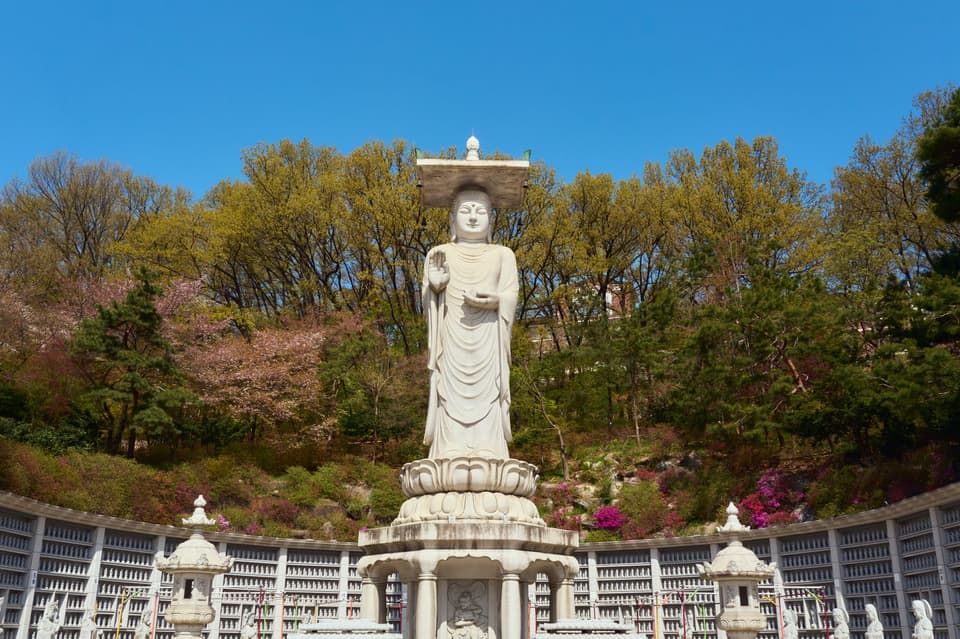 Striking image of a grand Buddha statue amidst vibrant spring foliage at Bongeunsa Temple.
