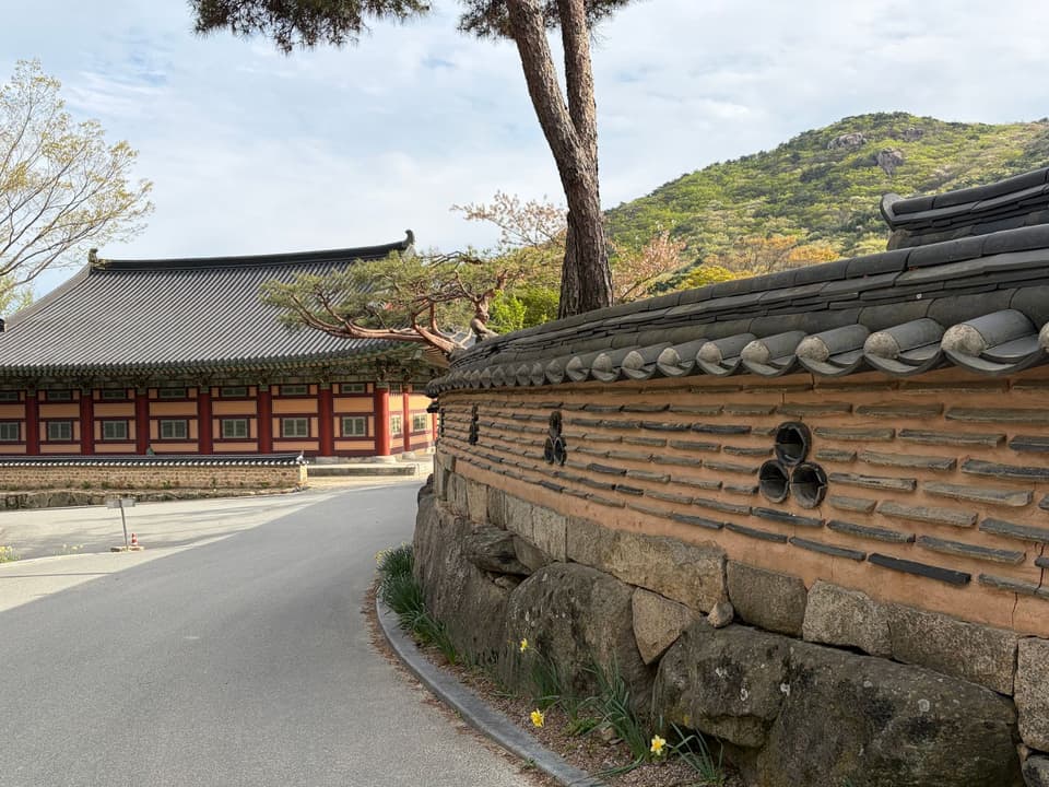 Explore the serene beauty of traditional Korean architecture and landscapes in Busan, South Korea.