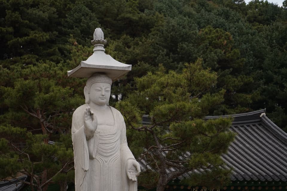 Serene Buddha statue at a Geumsan shrine, surrounded by lush greenery.