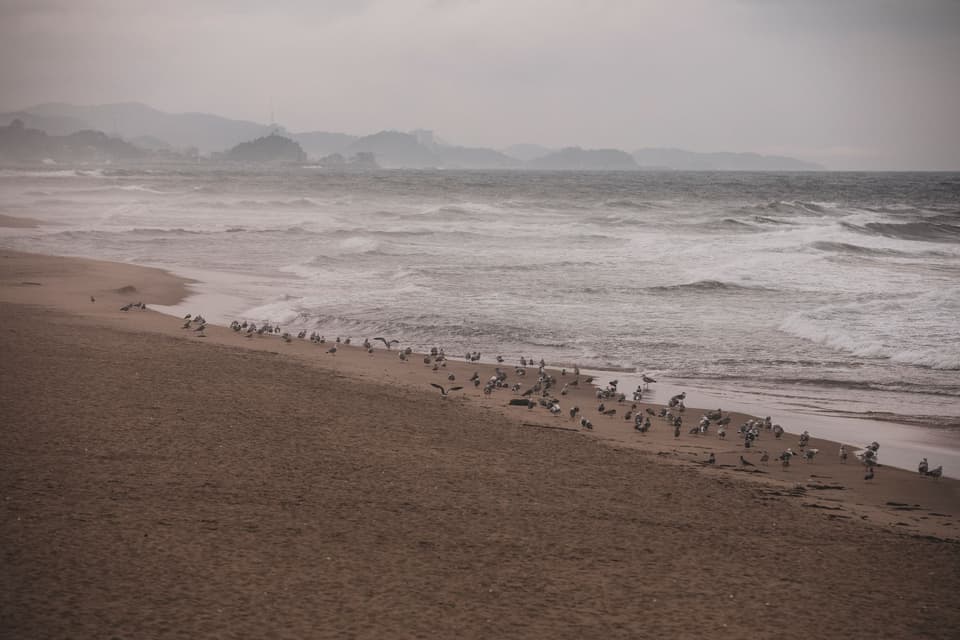 Gangneung — travel photography