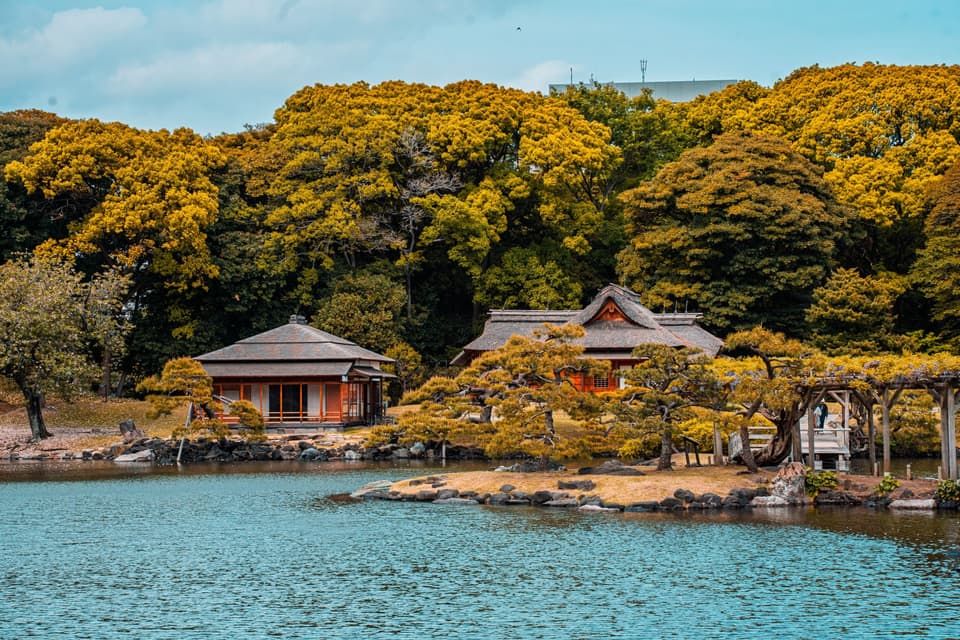 Scenic view of a traditional Japanese garden with serene water and historic wooden architecture in Tokyo.