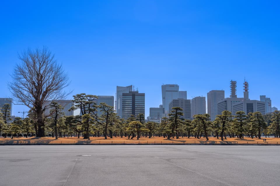 Panoramic view of Tokyo skyline above the serene Imperial Palace Gardens.