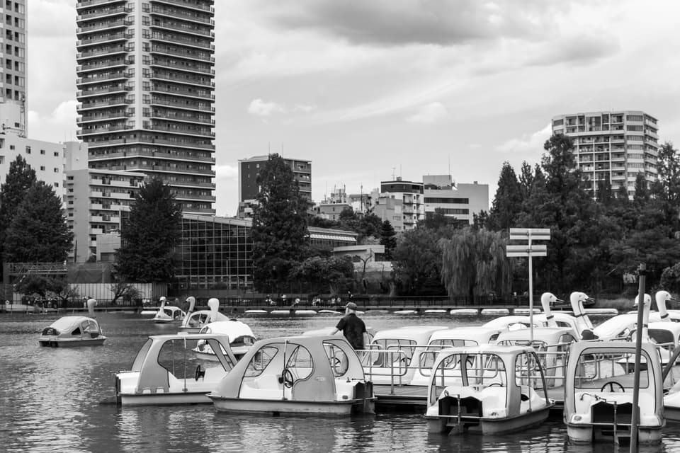 Black and white photo of paddle boats docked at Ueno Park with urban skyline in Taito City, Tokyo.