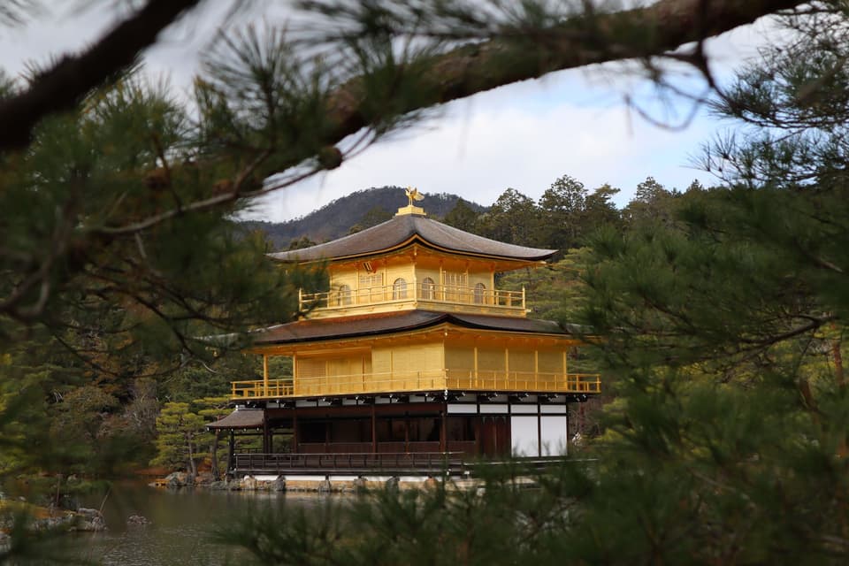 Scenic view of Kinkaku-ji temple surrounded by greenery in Kyoto, Japan.