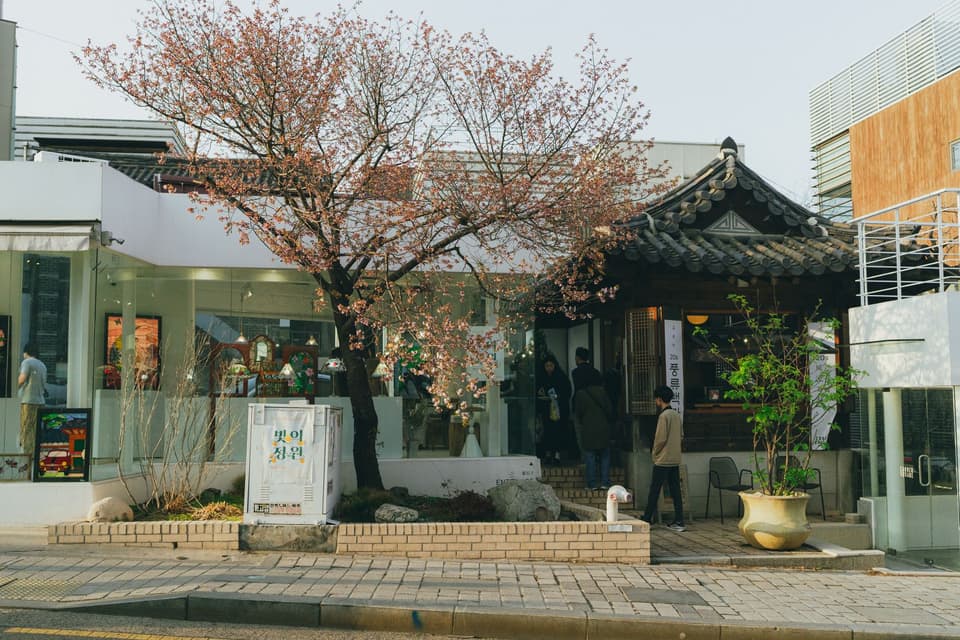 Photo of a peaceful Seoul street featuring traditional Korean architecture and cherry blossoms in full bloom.