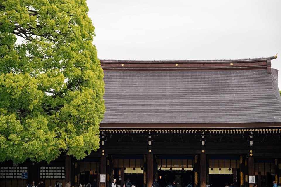 Peaceful view of Meiji Shrine with vibrant green foliage and traditional architecture in Tokyo, Japan.