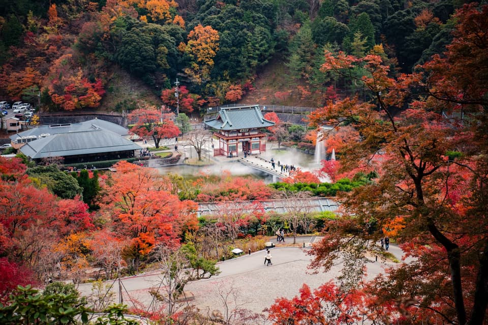 Autumn colors in Minoo Park, Osaka, Japan, with a traditional gate amid vibrant foliage.