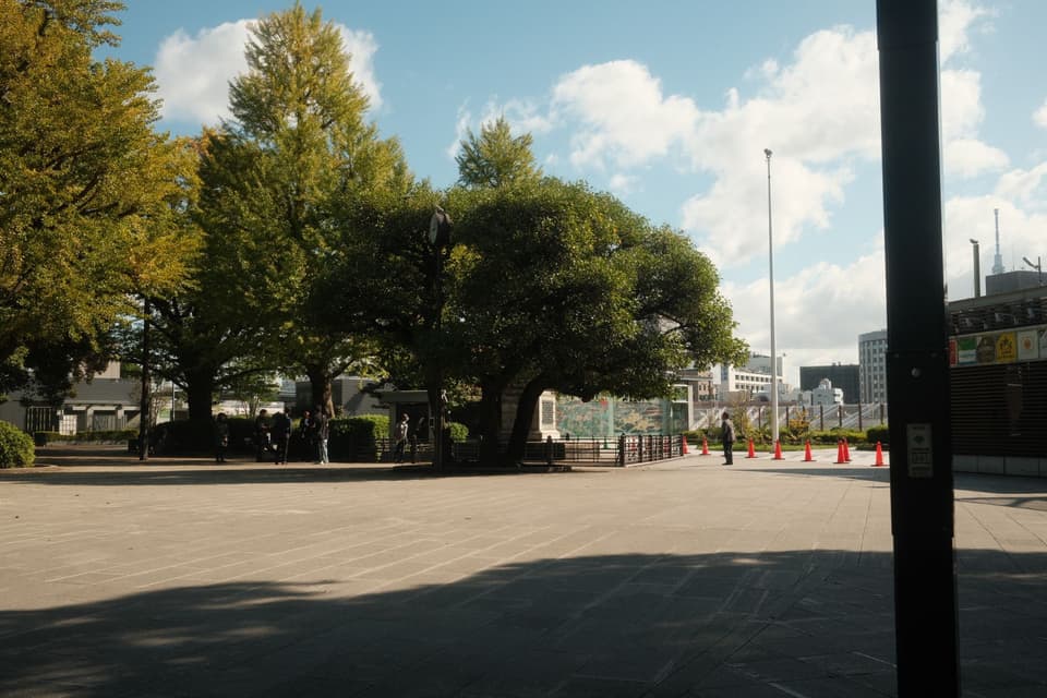 A serene park scene in Taito City, Tokyo with lush green trees under a bright blue sky.