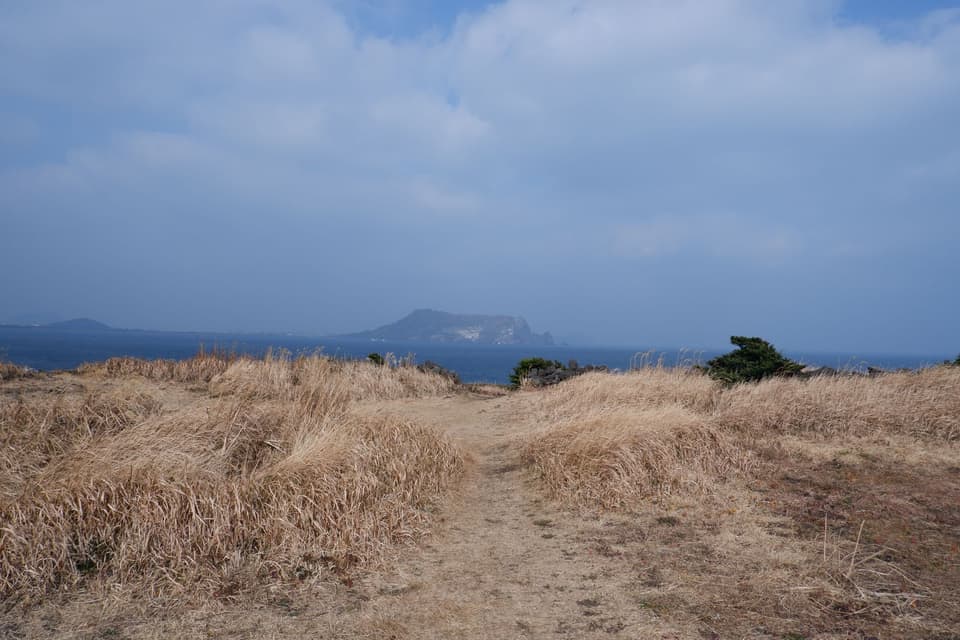 Explore a breathtaking coastal landscape from Jeju Island, Korea. Capture the serene seashore and distant islets.