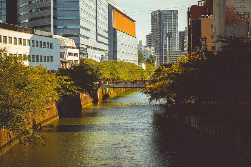Nakameguro — travel photography