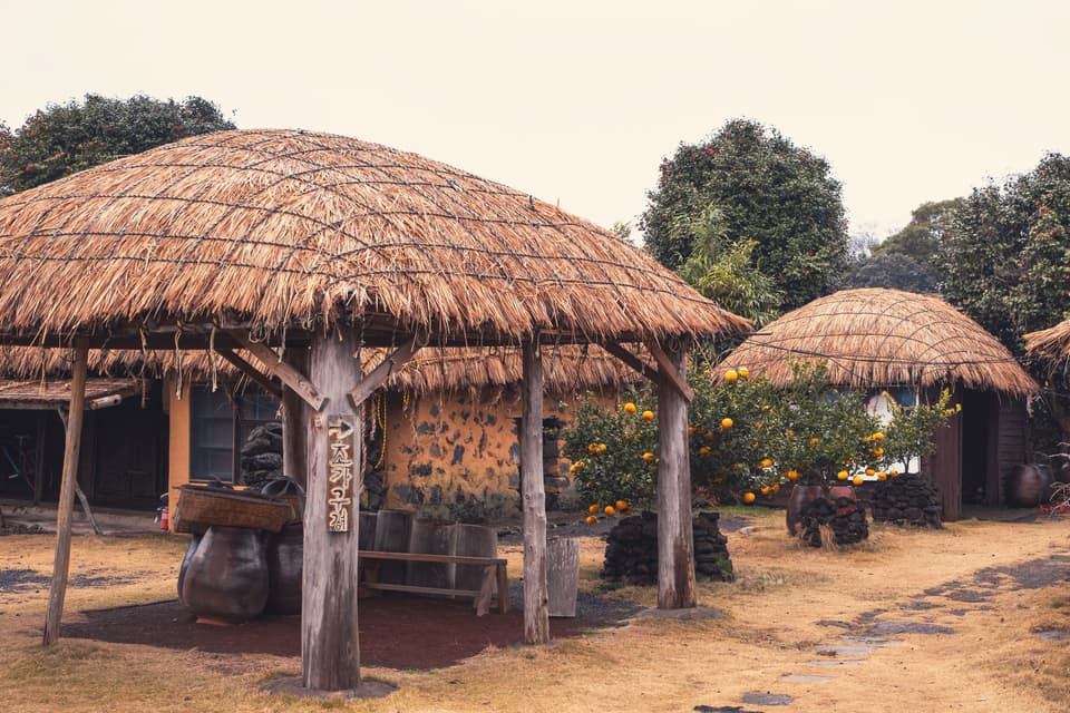 Explore a traditional Jeju village featuring thatched huts and lush orange trees, capturing rural Korean culture.