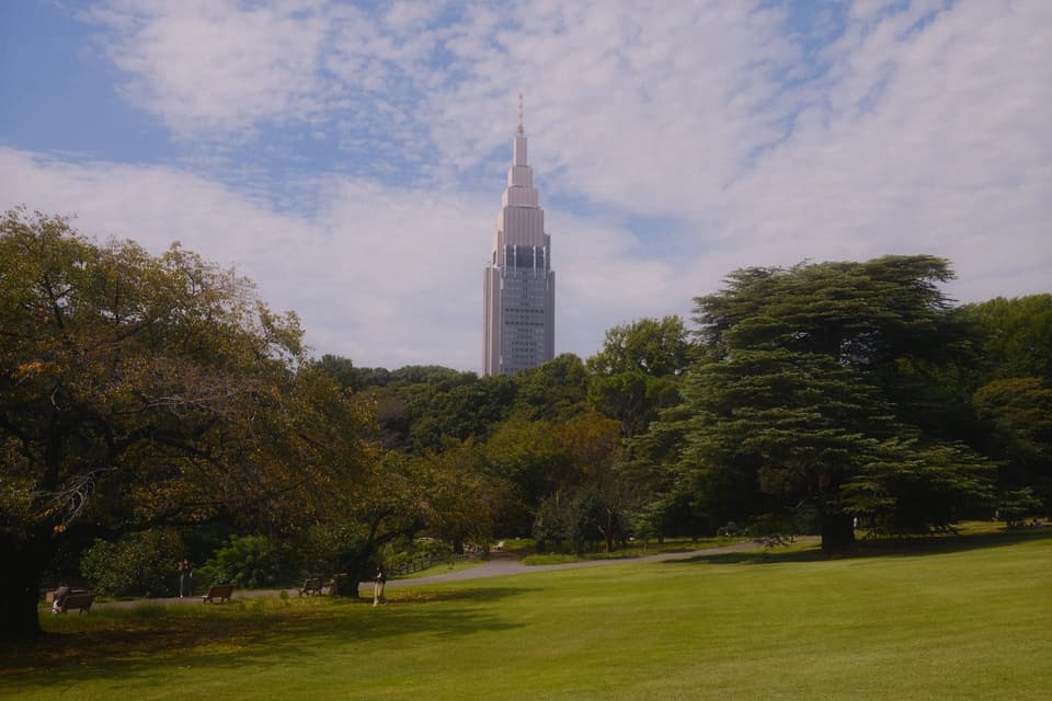 Serene view of Shinjuku Gyoen Park in Tokyo featuring the towering NTT Docomo Yoyogi Building under a bright sky.
