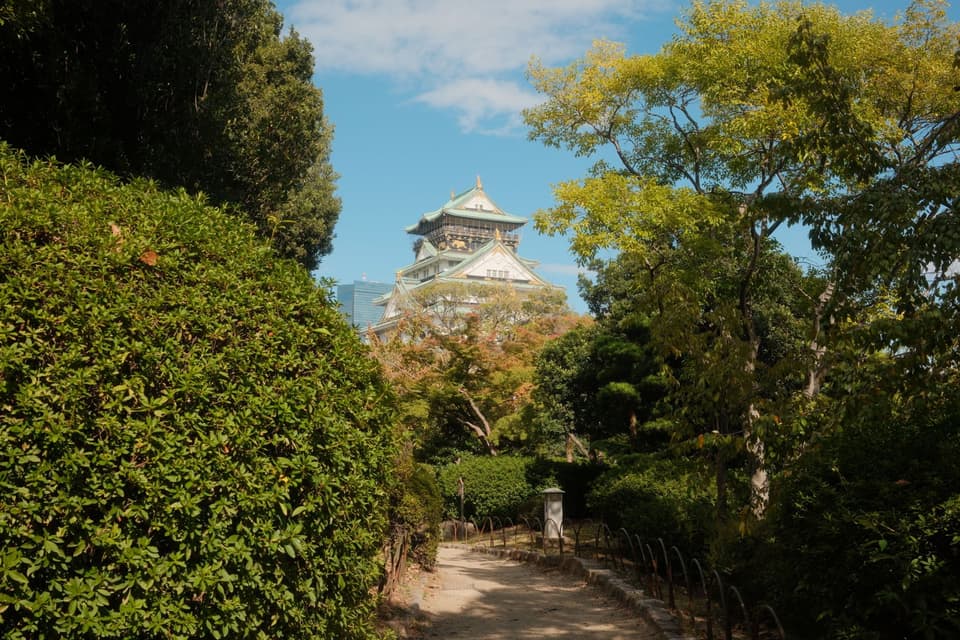 Beautiful view of Osaka Castle surrounded by vibrant autumn foliage in Osaka, Japan.