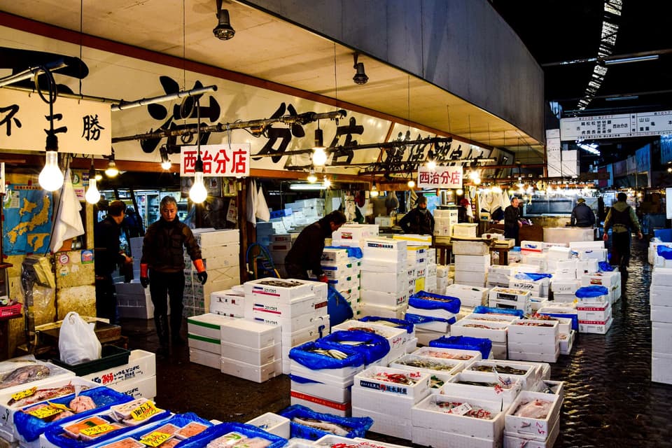 A vibrant scene at the Tsukiji Fish Market showcasing fresh seafood and active vendors in Tokyo, Japan.